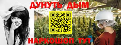 шишки Аргун