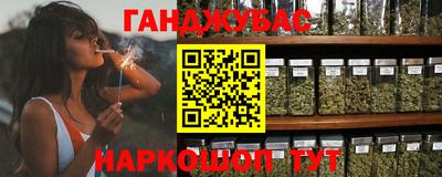 шишки Аргун