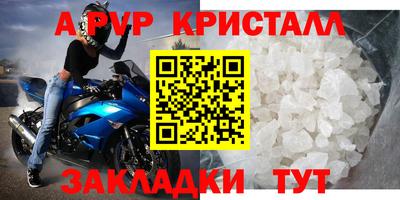 шишки Аргун
