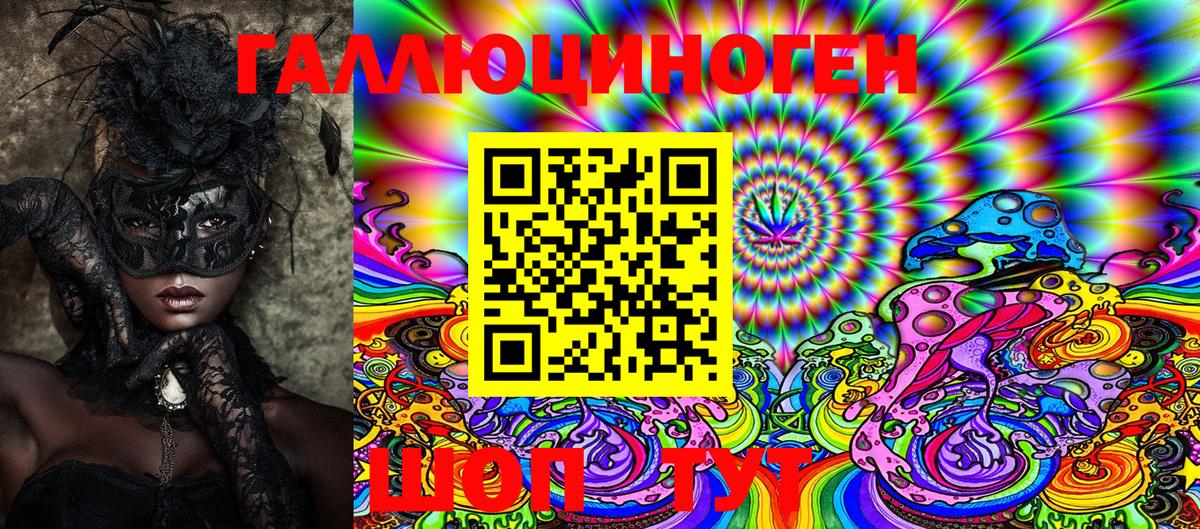 Галлюциногенные грибы Psilocybine cubensis Брянск