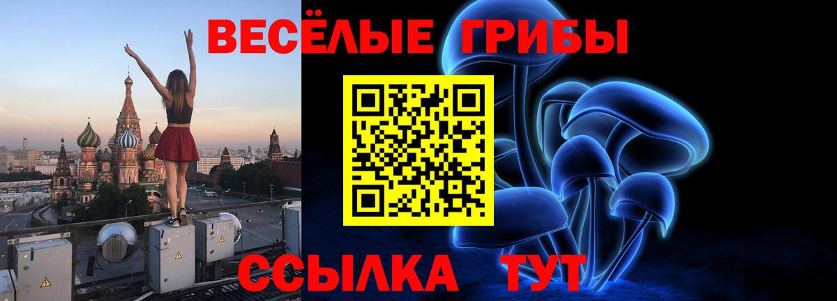 Галлюциногенные грибы MAGIC MUSHROOMS  Вход с VPN  Брянск 